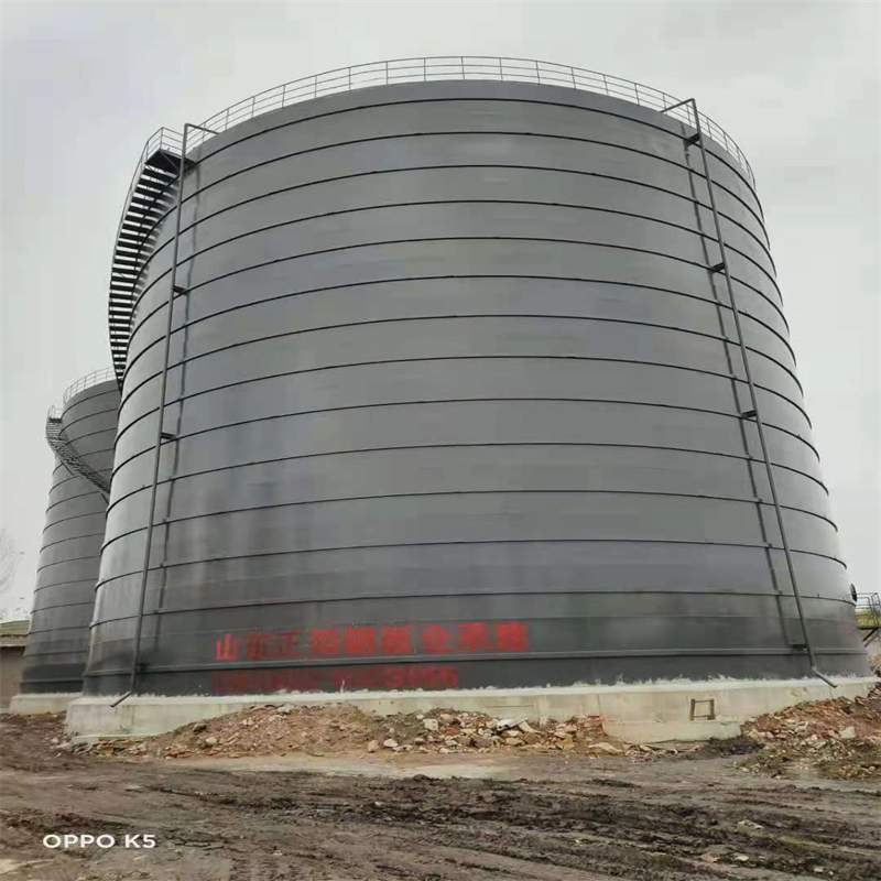 苍溪3万吨大型钢板库