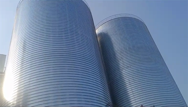 苍溪2座混凝土高架卷板仓